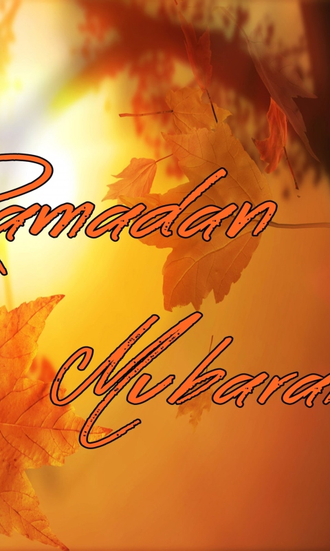 Screenshot №1 pro téma Ramadan Mubarak 480x800