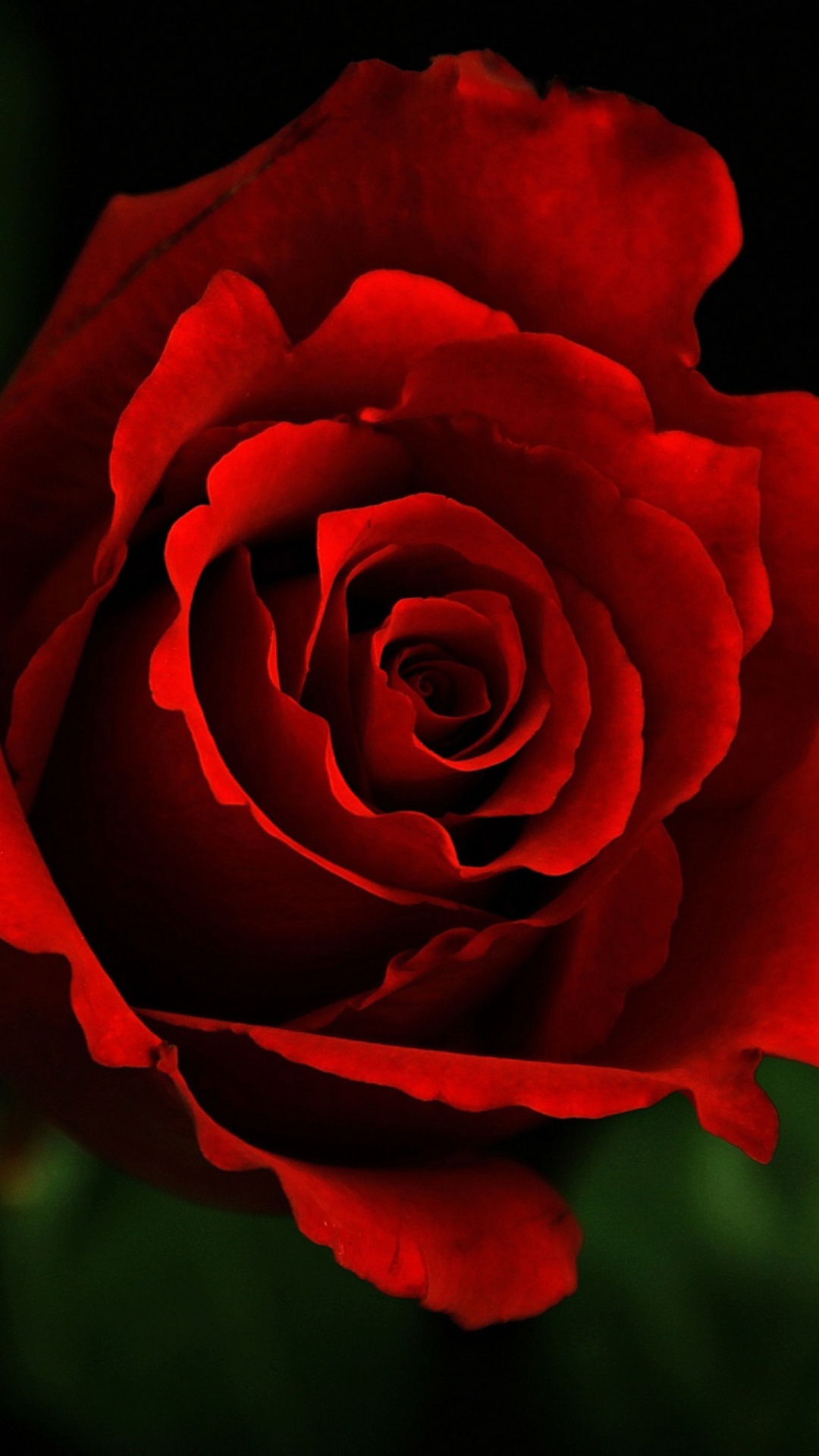 Rose screenshot #1 1080x1920