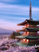 Das Chureito Pagoda near Mount Fuji Wallpaper 132x176