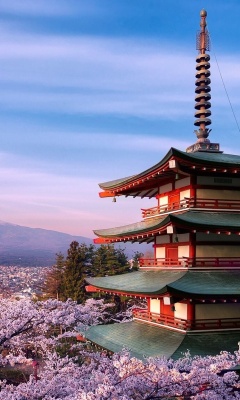 Обои Chureito Pagoda near Mount Fuji 240x400
