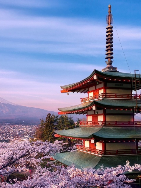 Обои Chureito Pagoda near Mount Fuji 480x640