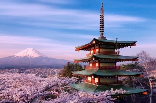 Chureito Pagoda near Mount Fuji - Obrázkek zdarma pro Widescreen Desktop PC 1600x900