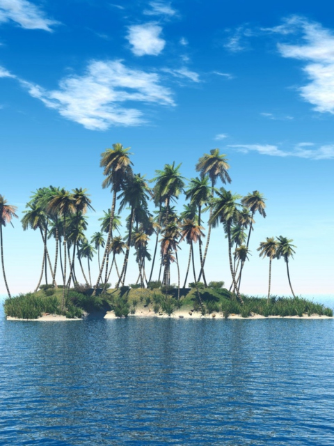 Das Tiny Island In Middle Of Sea Wallpaper 480x640