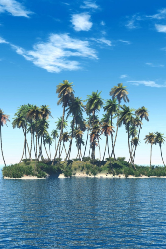 Fondo de pantalla Tiny Island In Middle Of Sea 640x960