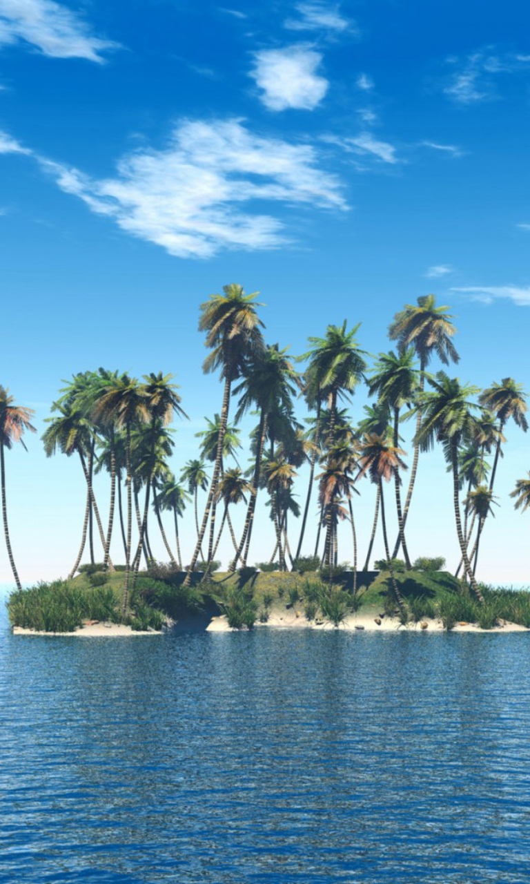 Tiny Island In Middle Of Sea wallpaper 768x1280