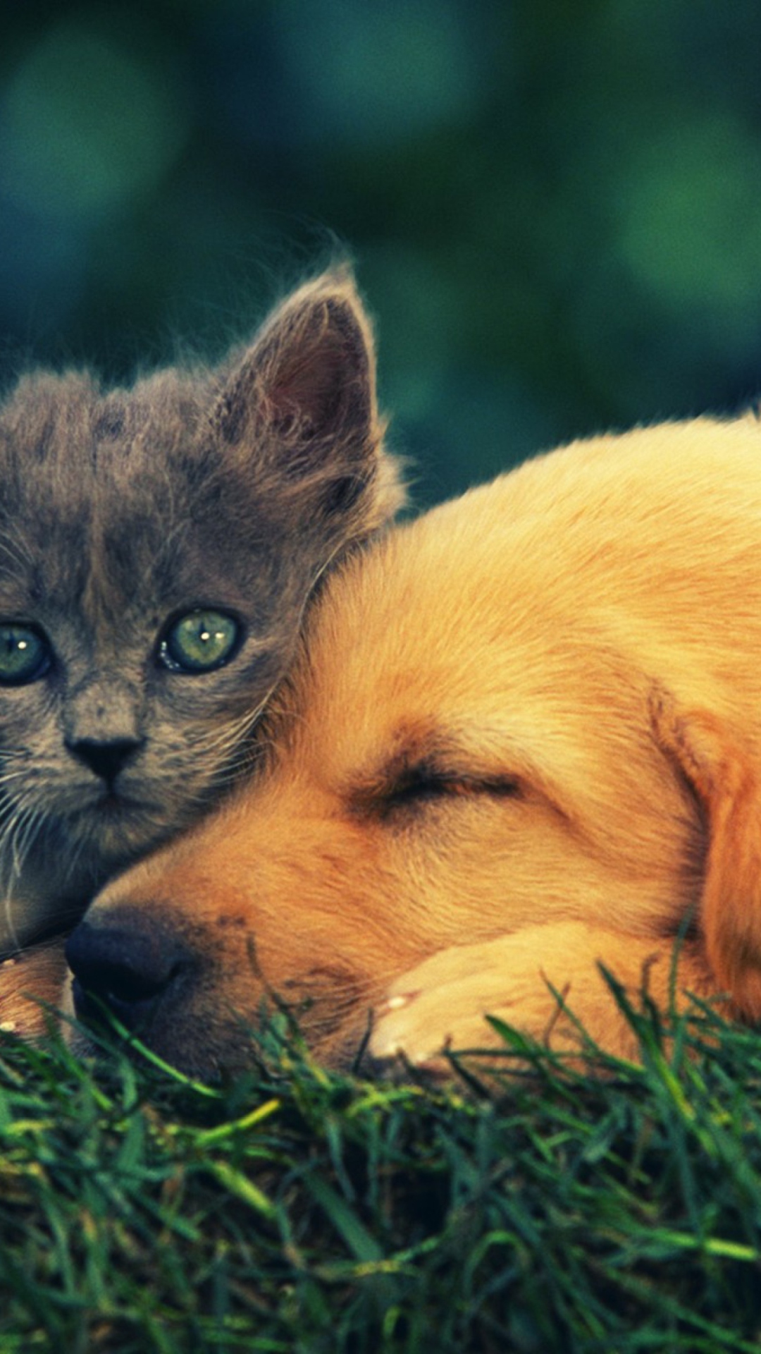 Обои Best Friends Love Forever 1080x1920