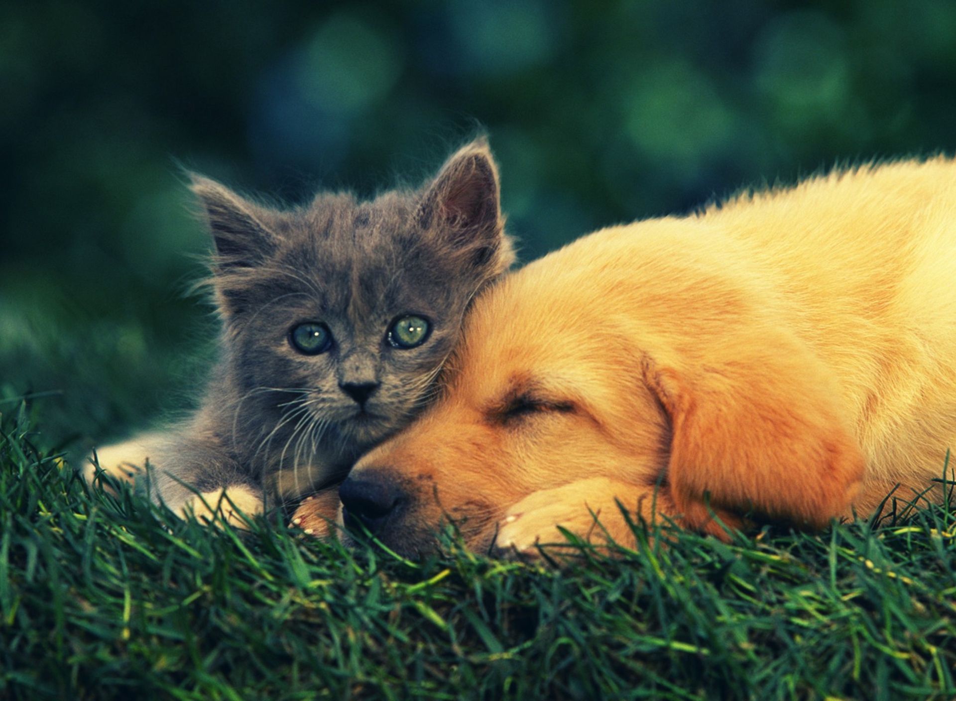 Обои Best Friends Love Forever 1920x1408