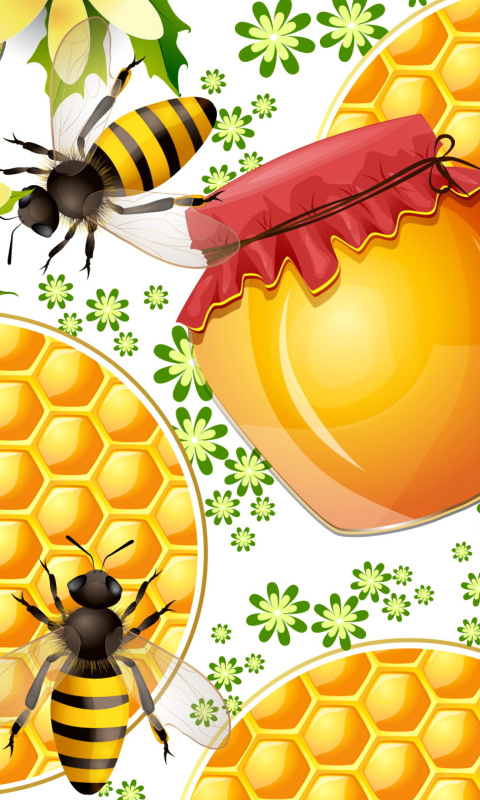 Honey Search wallpaper 480x800