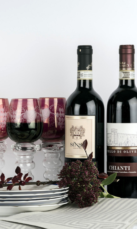 Fondo de pantalla Chianti Wine from Tuscany region 480x800