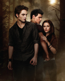 Fondo de pantalla Twilight New Moon 128x160