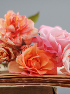 Beautiful Roses screenshot #1 240x320