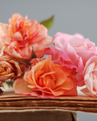 Beautiful Roses papel de parede para celular para iPhone 4S