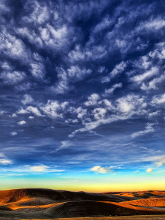 Das Desktop Desert Skyline Wallpaper 240x320