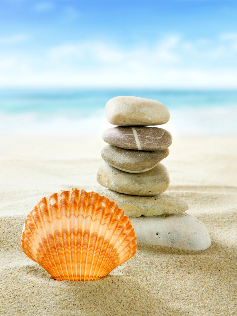 Das Sea Shells Beach Wallpaper 480x640