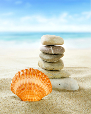Sea Shells Beach - Fondos de pantalla gratis para Nokia Asha 311