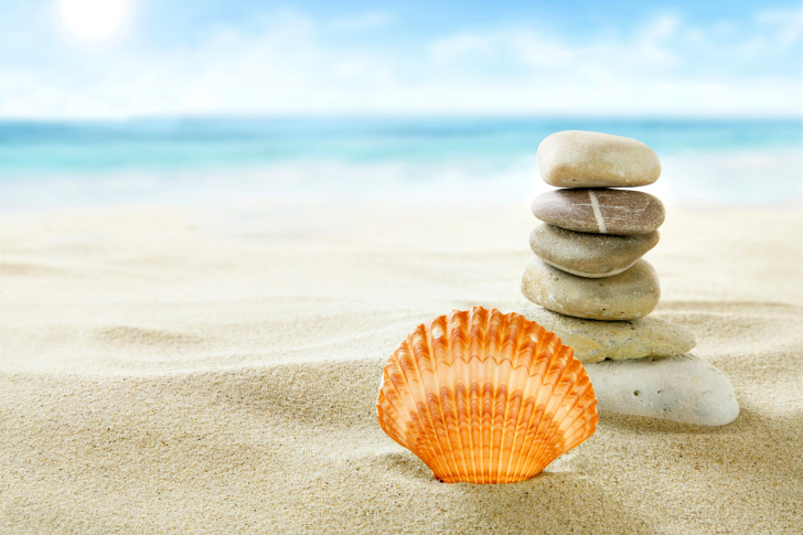 Sea Shells Beach wallpaper