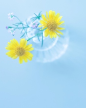 Screenshot №1 pro téma Yellow Daisies In Vase 176x220