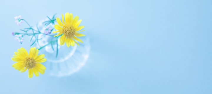 Screenshot №1 pro téma Yellow Daisies In Vase 720x320