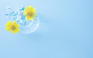 Free Yellow Daisies In Vase Picture for Android, iPhone and iPad