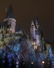 Das Hogwarts Castle Wallpaper 176x220