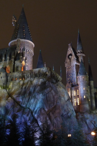 Das Hogwarts Castle Wallpaper 320x480