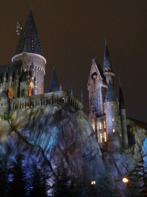 Hogwarts Castle screenshot #1 480x640