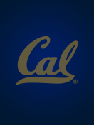 California Golden Bears wallpaper 132x176