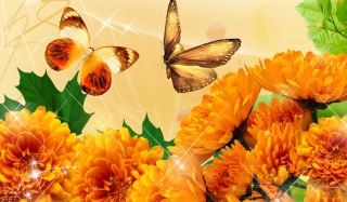 Autumn Butterflies Shines Wallpaper for Android, iPhone and iPad
