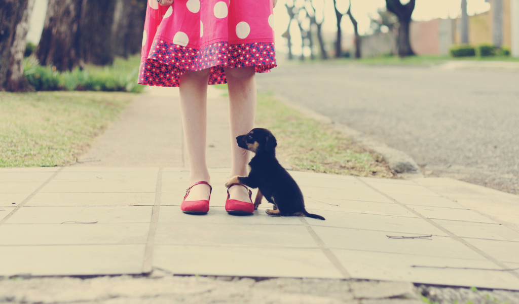 Screenshot №1 pro téma Girl In Polka Dot Dress And Her Puppy 1024x600