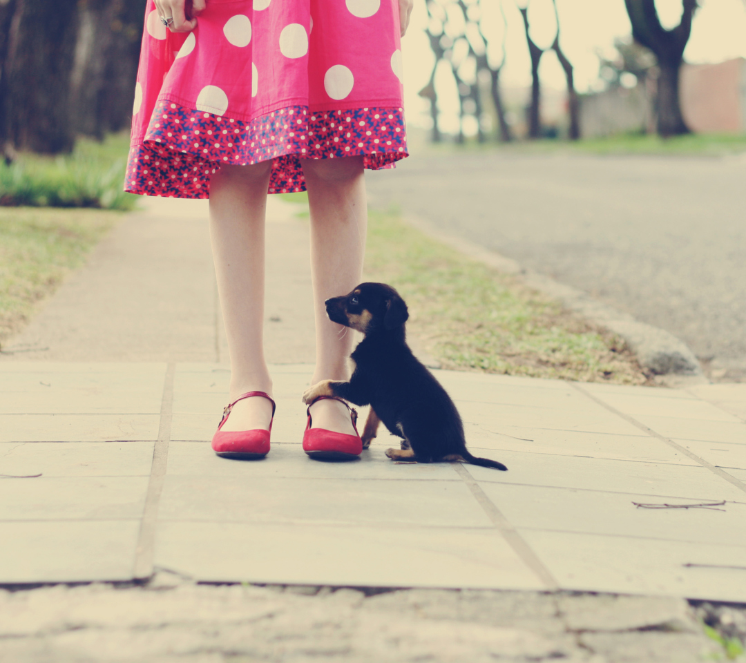 Обои Girl In Polka Dot Dress And Her Puppy 1080x960