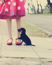 Girl In Polka Dot Dress And Her Puppy screenshot #1 176x220