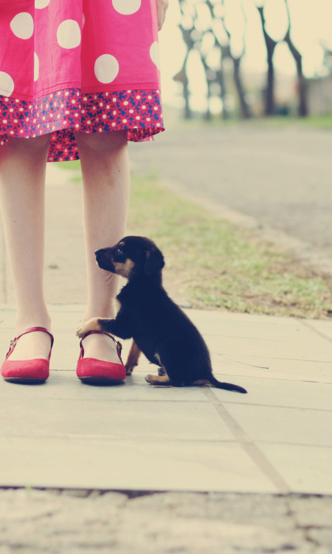 Sfondi Girl In Polka Dot Dress And Her Puppy 480x800