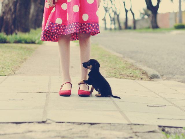Sfondi Girl In Polka Dot Dress And Her Puppy 640x480
