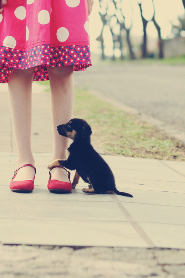 Sfondi Girl In Polka Dot Dress And Her Puppy 640x960