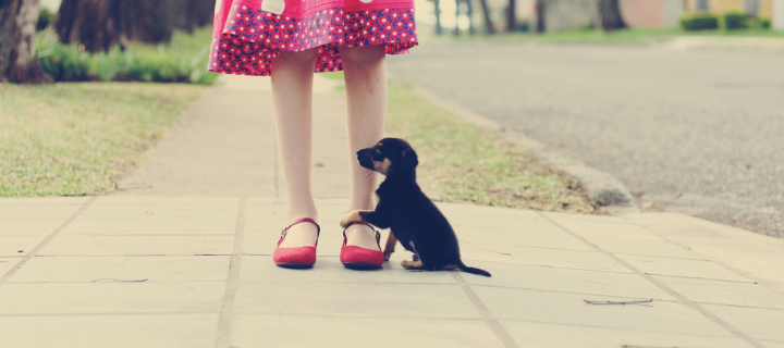 Обои Girl In Polka Dot Dress And Her Puppy 720x320