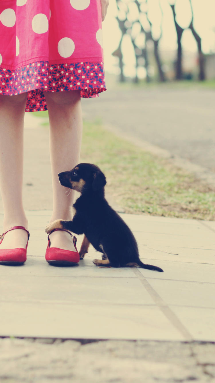 Das Girl In Polka Dot Dress And Her Puppy Wallpaper 750x1334