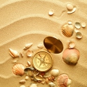 Обои Compass And Shells On Sand 128x128