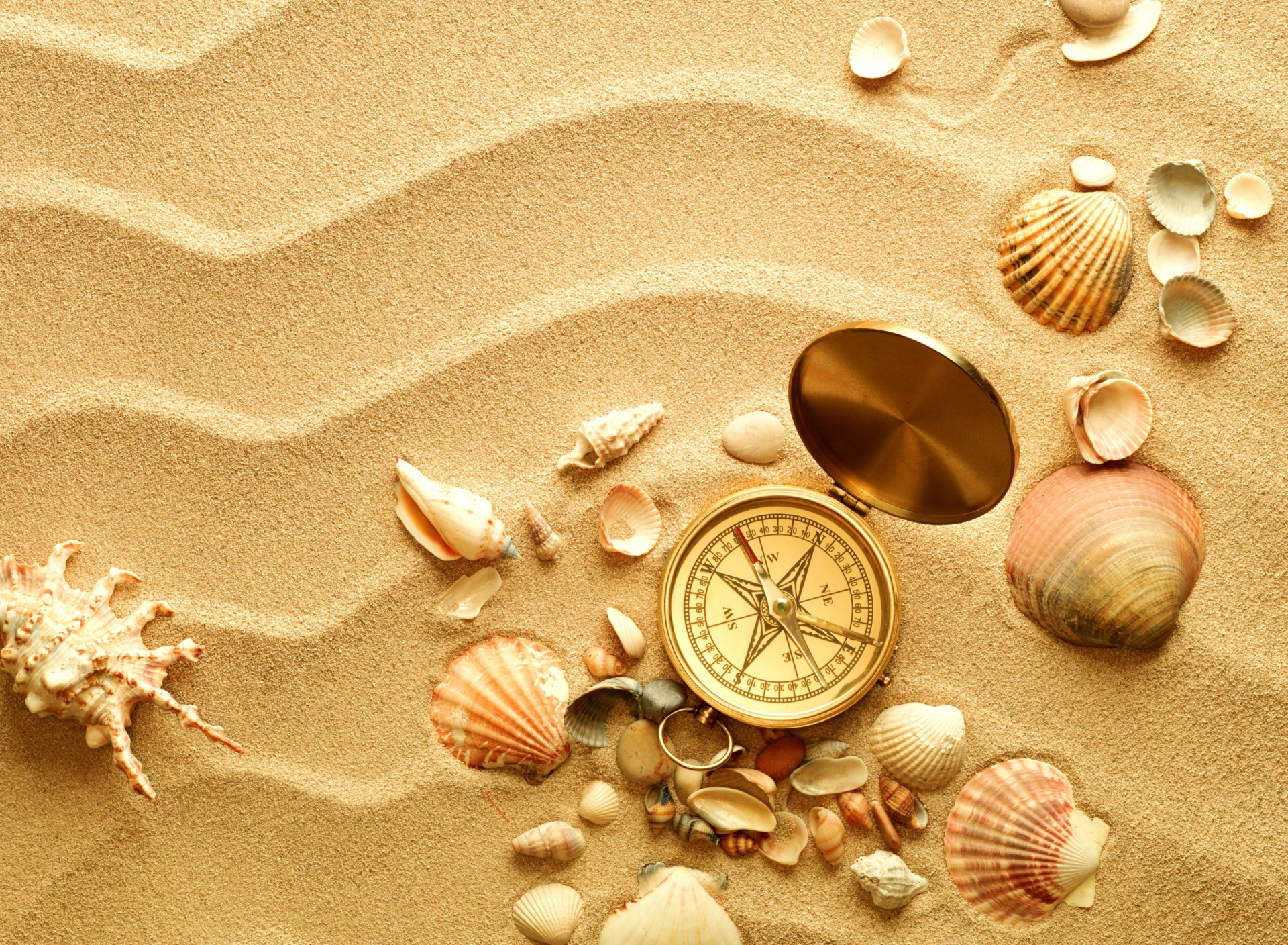 Обои Compass And Shells On Sand 1920x1408