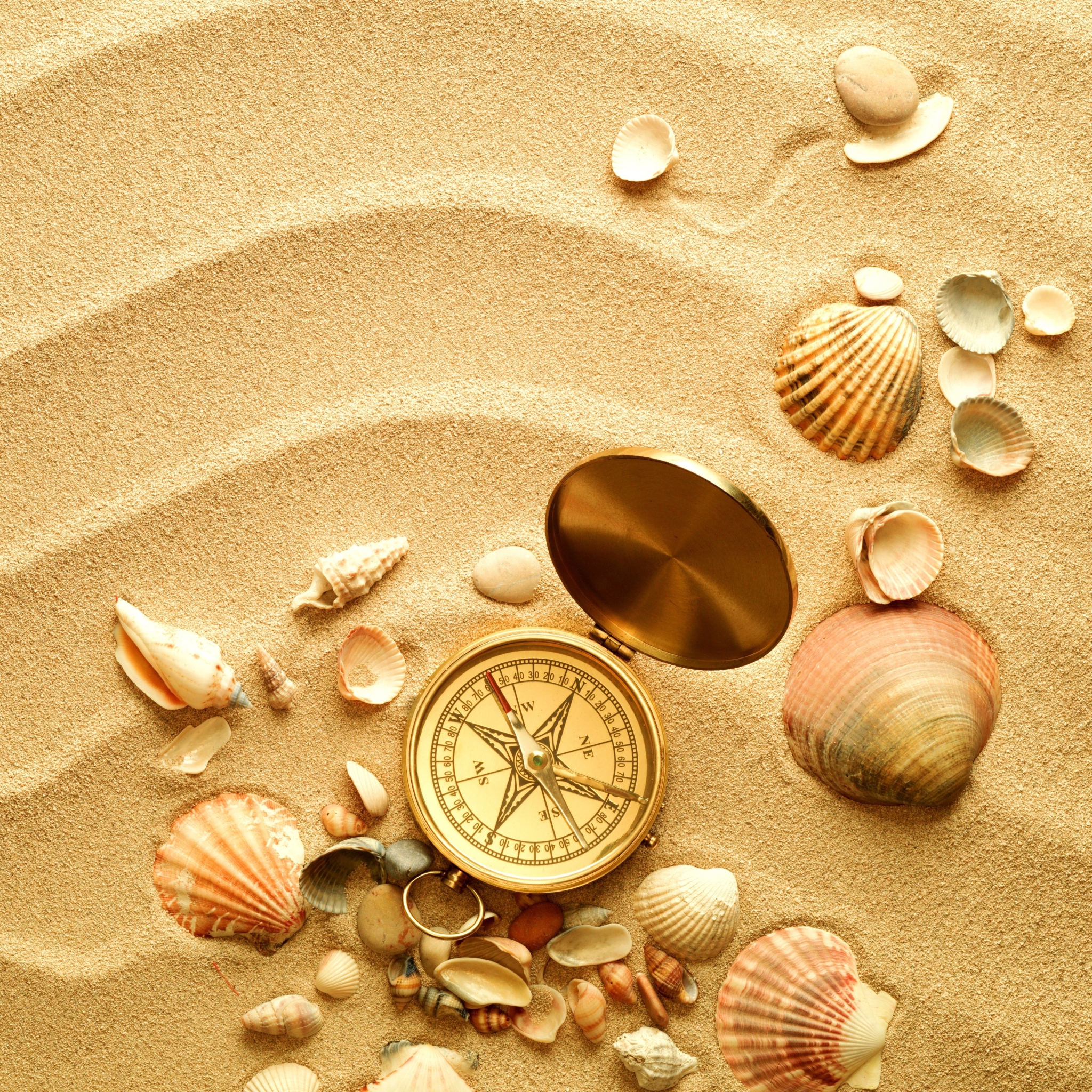 Sfondi Compass And Shells On Sand 2048x2048