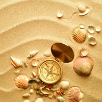 Compass And Shells On Sand screenshot #1 208x208