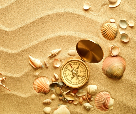 Sfondi Compass And Shells On Sand 480x400