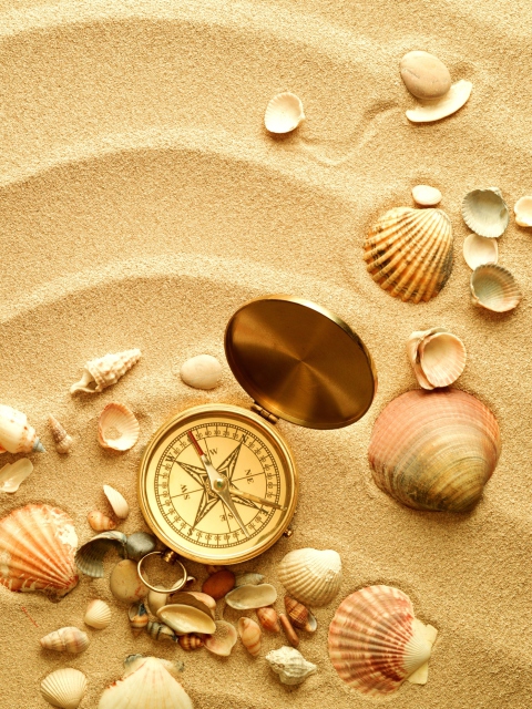 Compass And Shells On Sand wallpaper 480x640