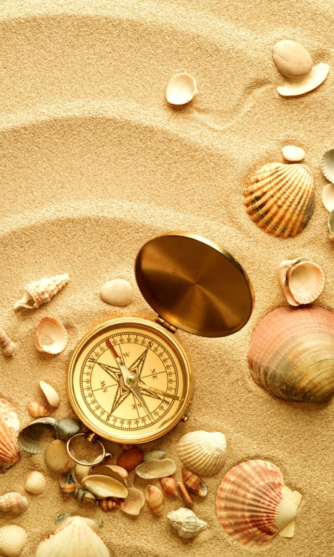Sfondi Compass And Shells On Sand 480x800
