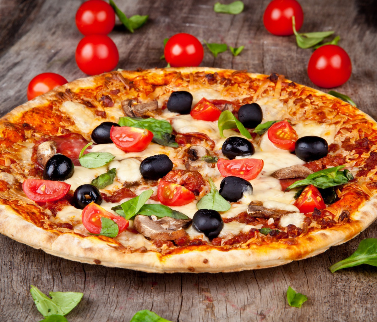 Pizza with tomatoes and olives wallpaper 1200x1024