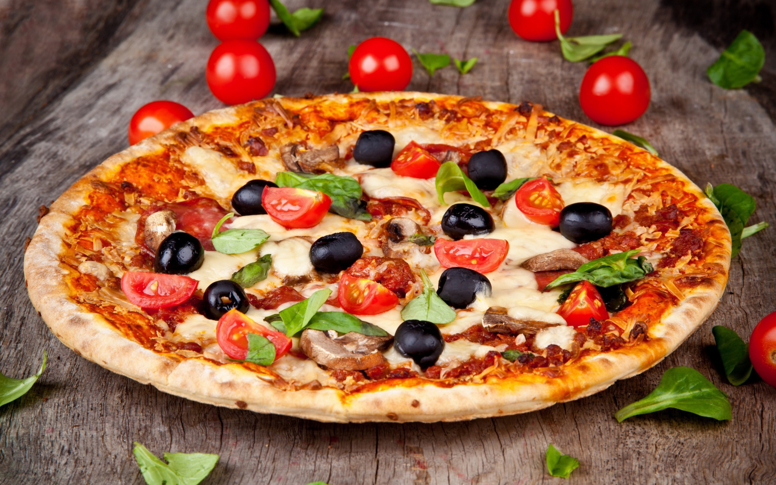 Pizza with tomatoes and olives wallpaper 2560x1600