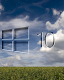 Обои Windows 10 Grass Field 128x160