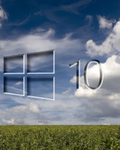 Sfondi Windows 10 Grass Field 176x220