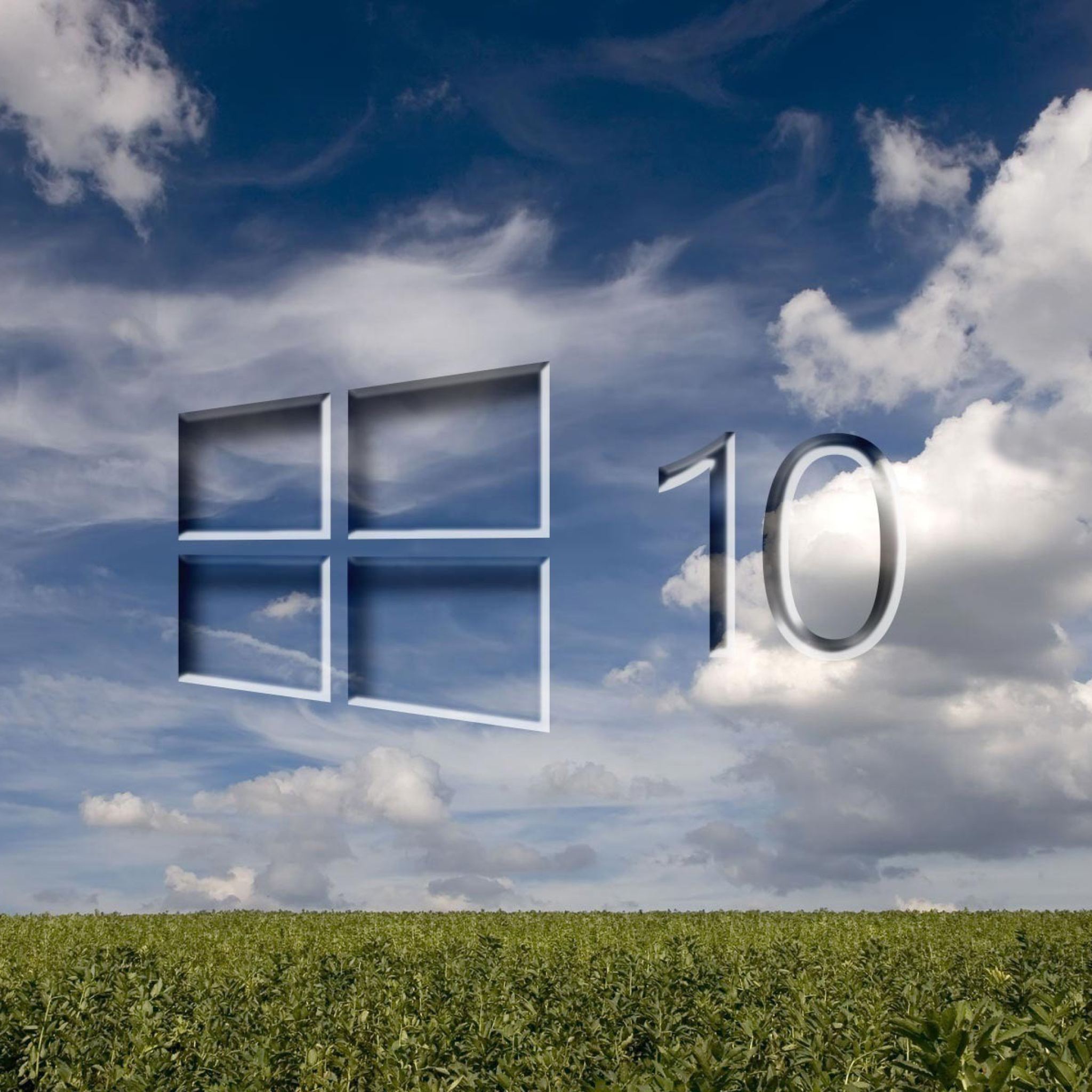 Windows 10 Grass Field wallpaper 2048x2048