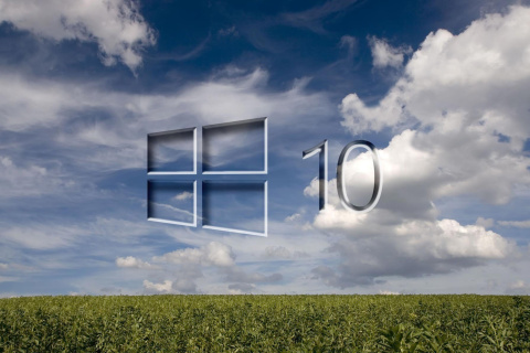 Das Windows 10 Grass Field Wallpaper 480x320