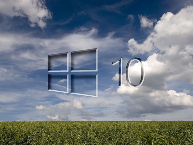 Обои Windows 10 Grass Field 640x480